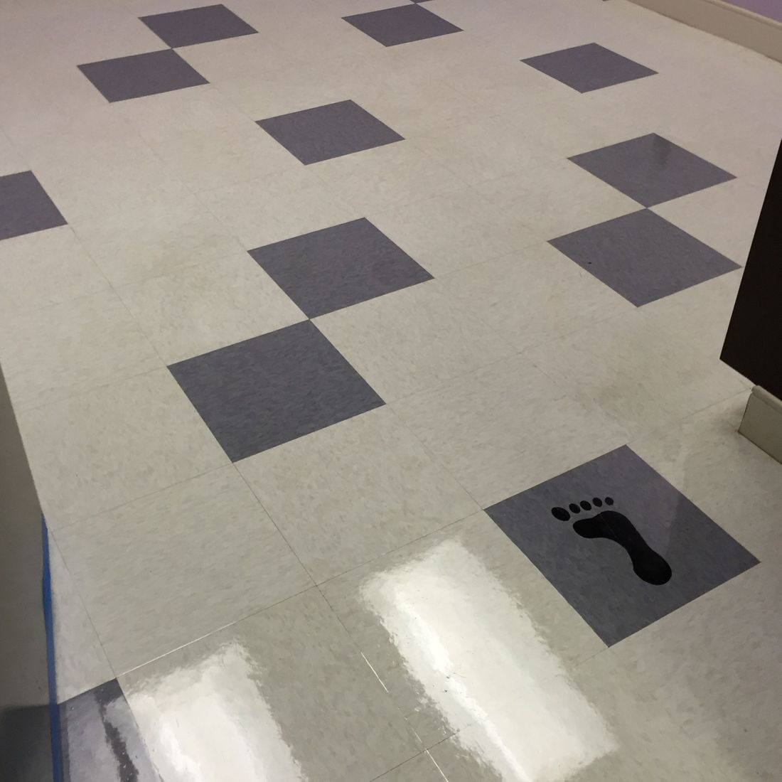 Floor Vision LLC