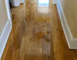Floor Vision LLC