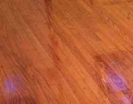 Floor Vision LLC